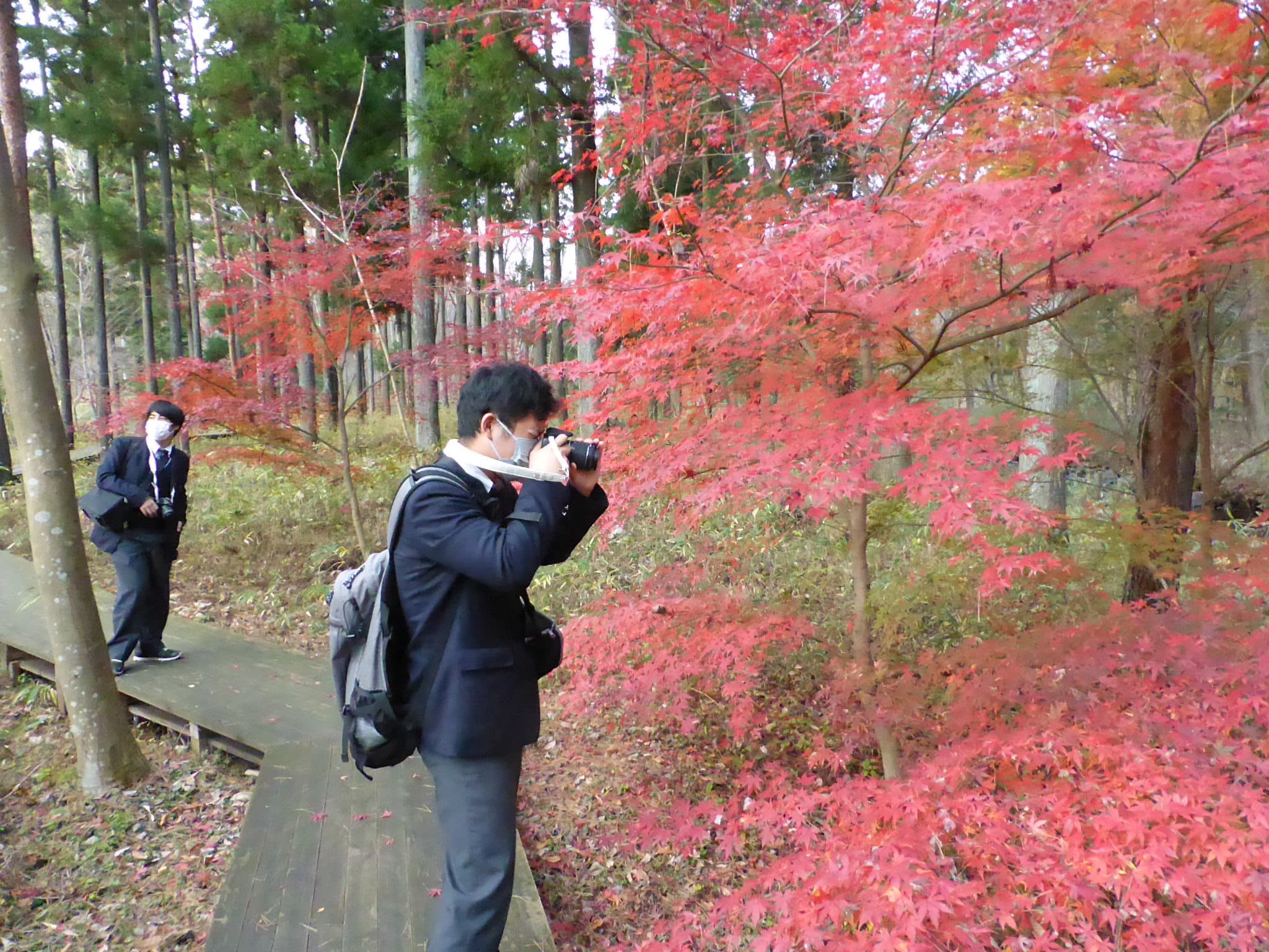 p1460143.jpg